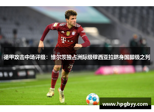 德甲攻击中场评级：维尔茨独占洲际级穆西亚拉跻身国脚级之列