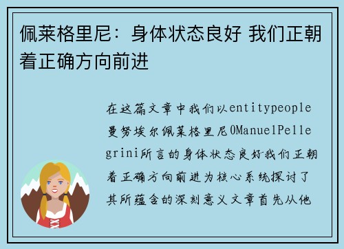佩莱格里尼：身体状态良好 我们正朝着正确方向前进